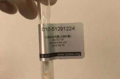 ATCC菌種的傳代方法以及保存時(shí)常見(jiàn)的問(wèn)題介紹