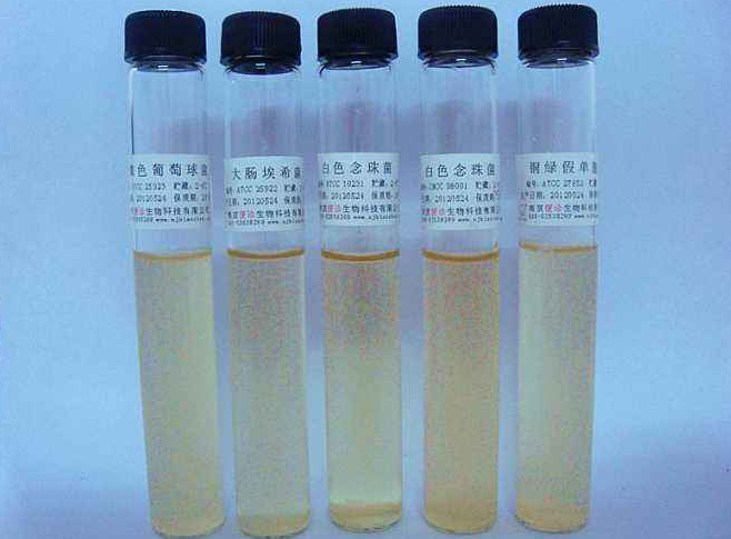 ATCC菌種保藏材料有哪些，菌種庫的作用是什么？看完你就知道了！