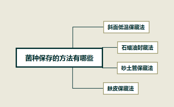 菌種的培養(yǎng)條件以及保存方法介紹