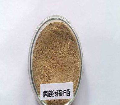 微生物培養(yǎng)基如何配置，有哪些注意事項(xiàng)？