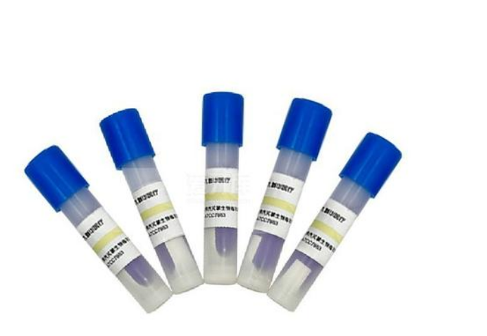 生物指示劑的采購(gòu)要求以及使用方法介紹