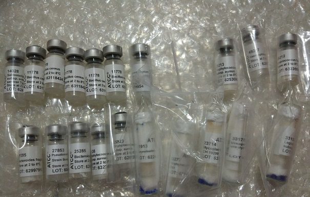 購(gòu)買atcc菌種有哪些需要注意的事情？它應(yīng)該這樣去保存！