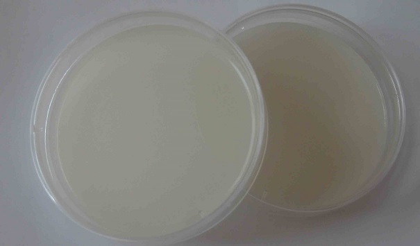 微生物培養(yǎng)基有哪些用途？這些因素影響它的使用時(shí)間！